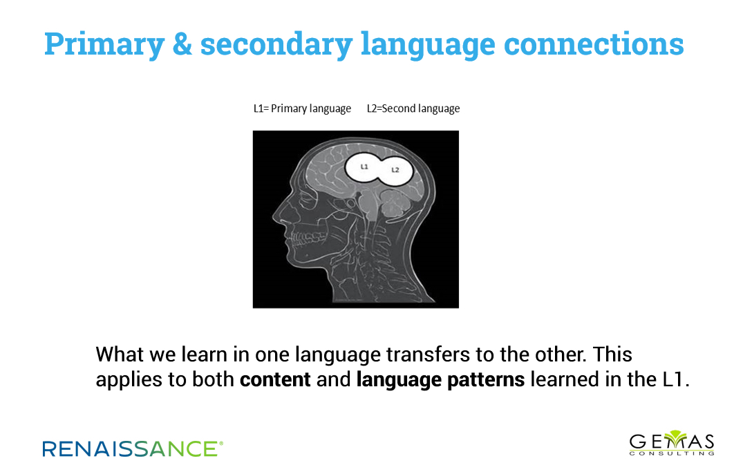 大脑显示主要和次要语言连接。